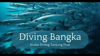 Menyelam Tanjung Husi: Temukan Pulau Bangka & Keajaiban Bawah Laut Sulawesi Utara #scubadiving