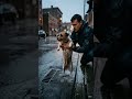 The Monkey Saved His Best Friend 🐒🐶💔 #shorts #funny #emotional #animals #pets