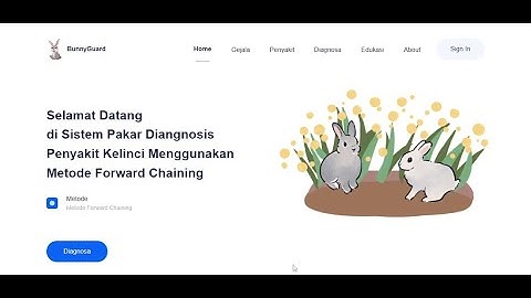 ✨ 𝐃𝐞𝐦𝐨 𝐒𝐢𝐬𝐭𝐞𝐦 𝐏𝐚𝐤𝐚𝐫 𝐃𝐢𝐚𝐠𝐧𝐨𝐬𝐢𝐬 𝐏𝐞𝐧𝐲𝐚𝐤𝐢𝐭 𝐊𝐞𝐥𝐢𝐧𝐜𝐢 – 𝐌𝐞𝐭𝐨𝐝𝐞 𝐅𝐨𝐫𝐰𝐚𝐫𝐝 𝐂𝐡𝐚𝐢𝐧𝐢𝐧𝐠 𝐁𝐞𝐫𝐛𝐚𝐬𝐢𝐬 𝐖𝐞𝐛 ✨