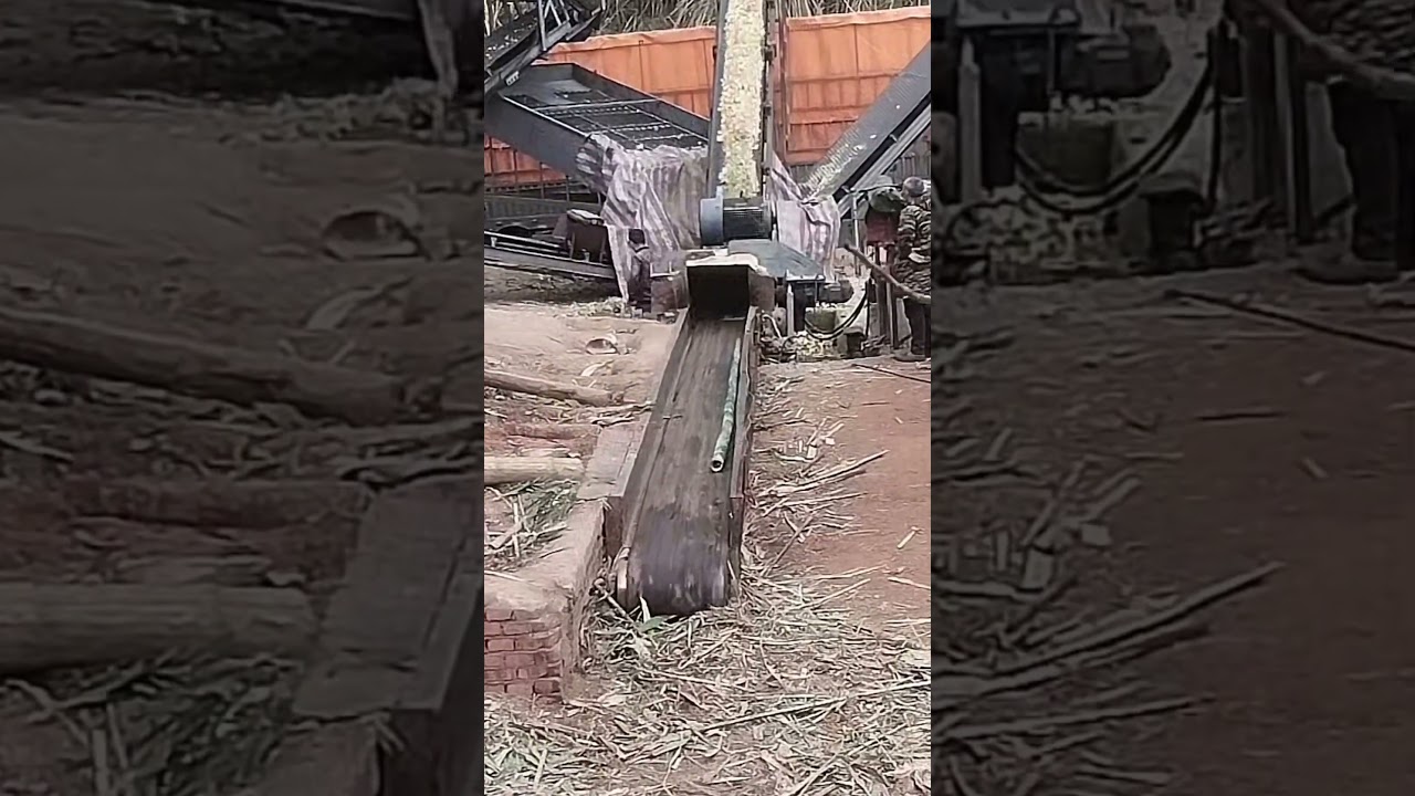 Hardworking Hands, Unbelievable Skills!