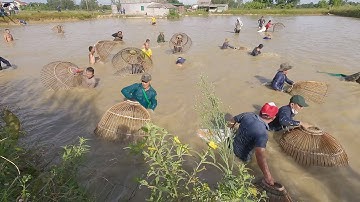 Nơm cá trôi khủng hưng hugo