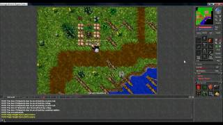 What can You do in Port Hope when You are bored (Tibia)