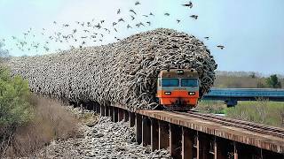 30 Minutes Of Amazing Continuous Production Machinery U0026 Most Admirable Worker Ever Before 35