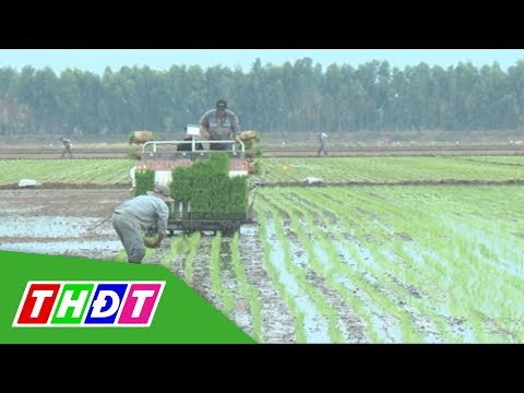 Video Triển khai sử dụng phân bón thông minh kết hợp máy cấy... - youtube