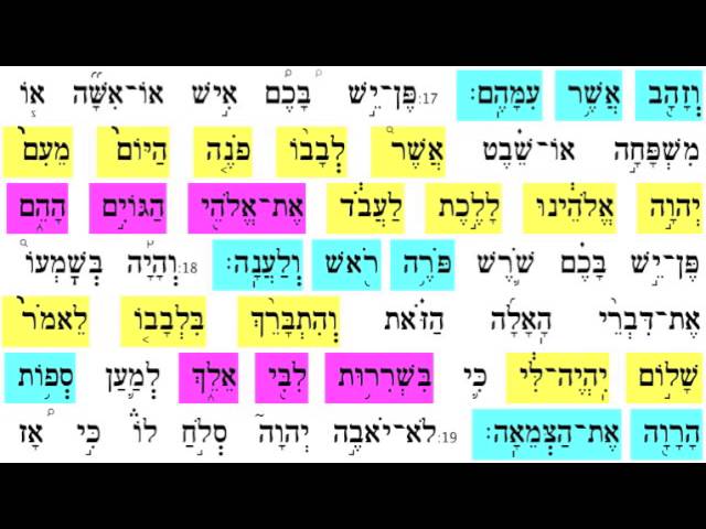 Nitzavim Vayeilech 17