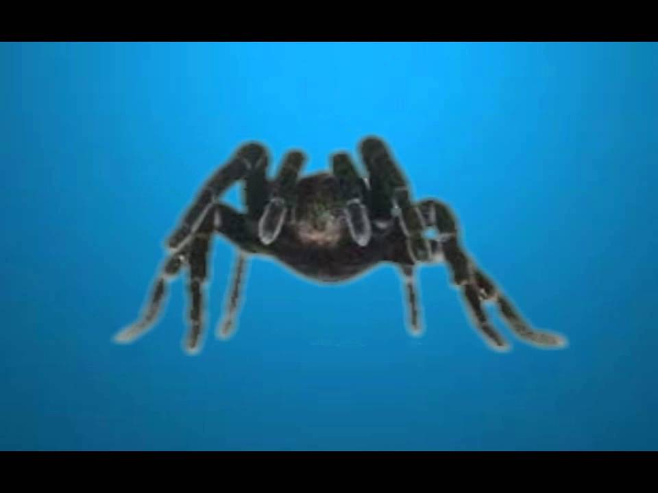 Eugene Yackles Intro