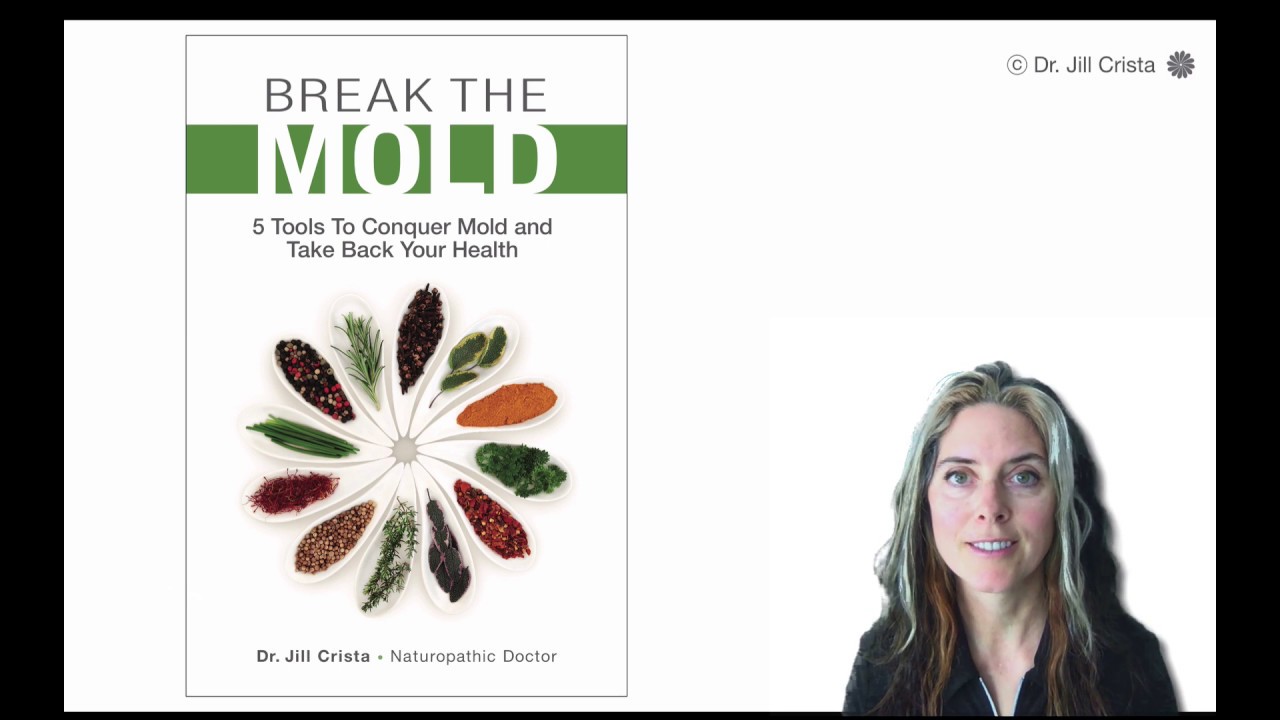 Факты о плесени, которые вам нужно знать