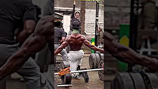 Bodywork for beginners #gym #workout #motivation