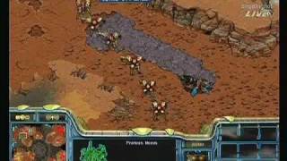Map: Colosseum II Young (Protoss) - Name: 노영훈 (Noh Young Hoon) -...