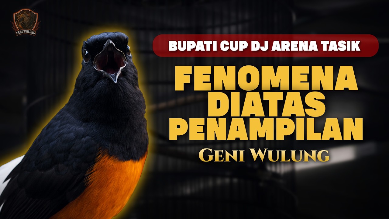 GENI WULUNG KENA DISKUALIFIKASI di Bupati Cup Tasik?!