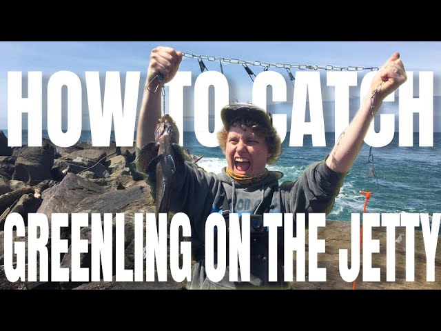 How To Catch Greenling On The Jetty (Oregon Jetty Fishing) 