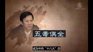 被指〝五毒俱全〞 河北前政法委书记张越获刑15年