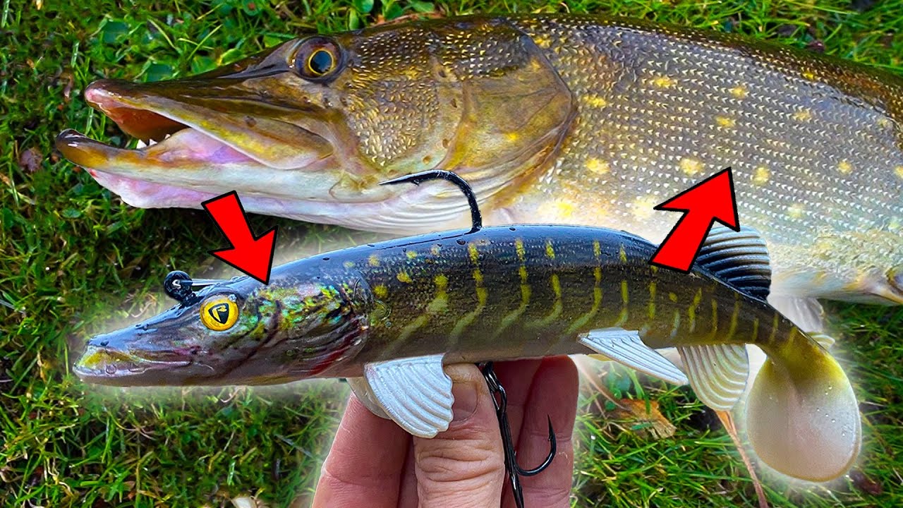 Hoe Vang Je Een Snoek: Tips En Trucs Voor Succesvolle Vissers