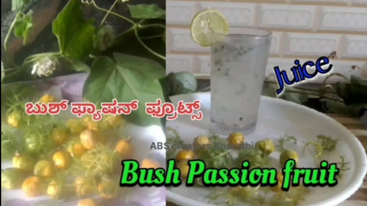 ಬುಶ್ ಫ್ಯಾಷನ್ ಫ್ರೂಟ್ಸ್ ಜ್ಯೂಸ್ Bush Passion fruit juice recipe in kannada