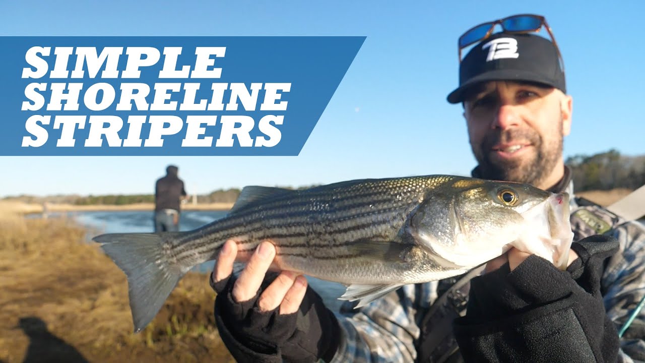 Best striped bass surf fishing Lures for Day and Night  Shop Mullet  Needlefish, Lures, Montauk Point surf fishing, Striped Bass, Manhattan  Tackle