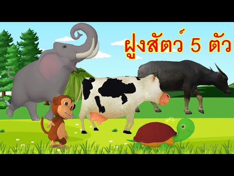 เพลงช้าง เต่า วัว ลิง ควาย I เพลงเด็กยิ้ม