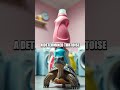The Kitchen Circus of Curious Creatures