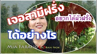 #Ep.1 #เจอสามีฝรั่งได้อย่างไร #เมียฝรั่งในบ้านนอก