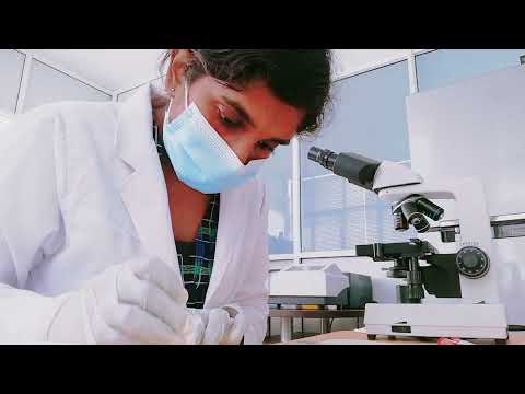 Technician Salary In Sri Lanka