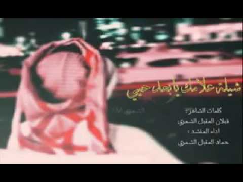 شيلة علامك يابعد حييء 