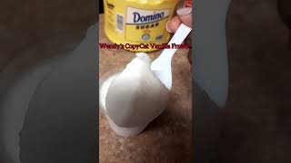 Copycat Wendys Vanilla Frosty