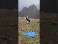 اجوا اليمن ليس لها مثيل رحله لي في محافظه عمران اليمن السعودية العراق السودان