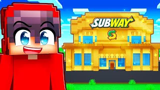 Video thumbnail of "$1 vs $1,000,000 SUBWAY in Minecraft!"