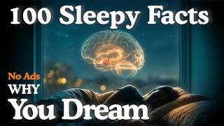 Mengapa Anda Bermimpi Setiap Malam: Fakta Sains Paling Menenangkan untuk Membantu Anda Tertidur