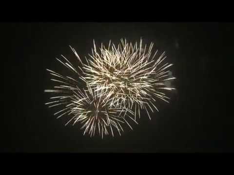 ფეიერვერკი 16 გასროლა 500 ლარი/ Firework 16 Shoots Price: 500  GEL