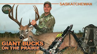 GIANT Prairie Whitetail Bucks in Saskatchewan | Canada in the Rough