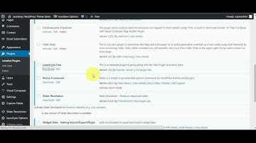 How to update Laundry Business WordPress Theme main plugin