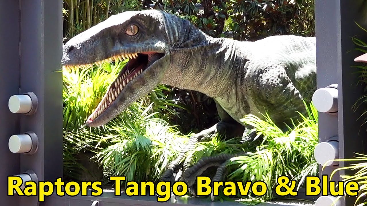 Встреча с Танго, Браво и Блю — встреча с ТРЕМЯ динозаврами в парке развлечений Universal Island o...