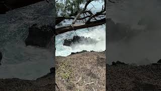 Mackenzie State Recreation Area