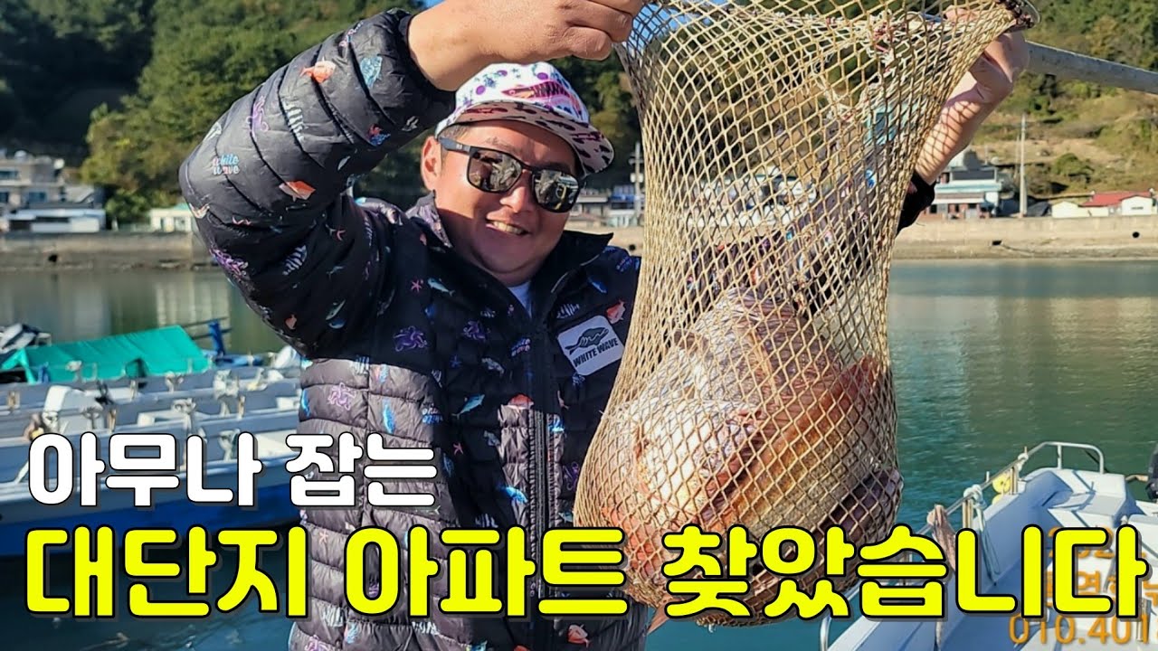 진짜 던지면 문다는게 이런거구나..