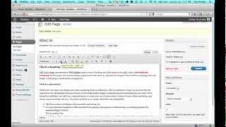 WordPress Visual Editor