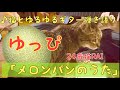 【メロンパンのうた】ゆっぴ ゆるゆる弾き語りカバー ねことともに