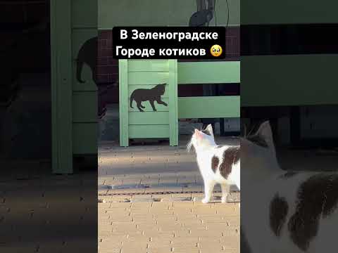 Получается, что это
