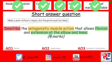 GCSE PE  Antagonistic Muscle Action