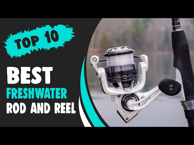 Best Freshwater Rod and Reel in 2021 – Choose the Best Combo Setup! 