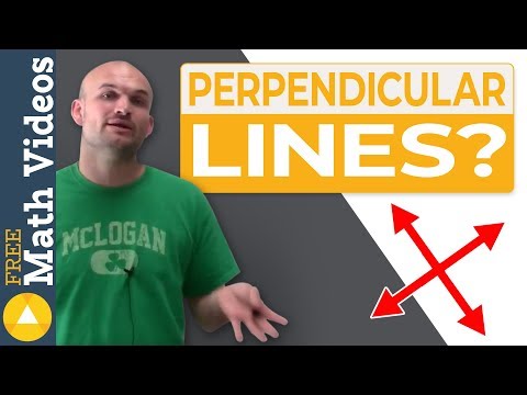 What are perpendicular lines