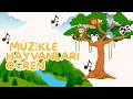 Çocuklar İçin Hayvan Müzikleri 🐼🎵 | 28 Dakika Çocuklar İçin Rahatlatıcı &amp; Öğretici - PeraLune