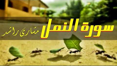 27 سورة النمل مشارى راشد حدر ( قراءة سريعة للحفظ والمراجعة )