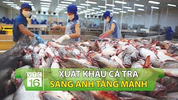 Xuất khẩu cá tra sang Anh tăng mạnh | VTC16