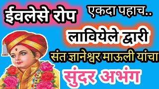 ईवलेशे रोप लावीयेले द्वारी | संत ज्ञानेश्वर महाराज यांचा अतीशय सुंदर अभंग | अभंग...