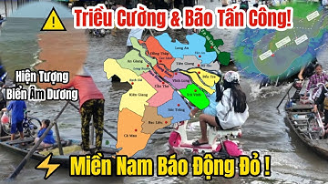 🌊⚠️ Biển Âm Dương Kỳ Lạ – Triều Cường & Bão Số 16 Báo Động Miền Nam!