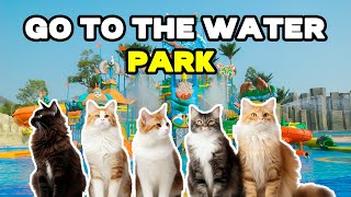 CAT MEMES: GO TO WATER PARK by Tuns ider 2,281 views 2 months ago 2 minutes, 22 seconds