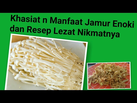 resep-mudah-praktis-jamur-enoki-saus-telur-asin-dan-khasiatnya