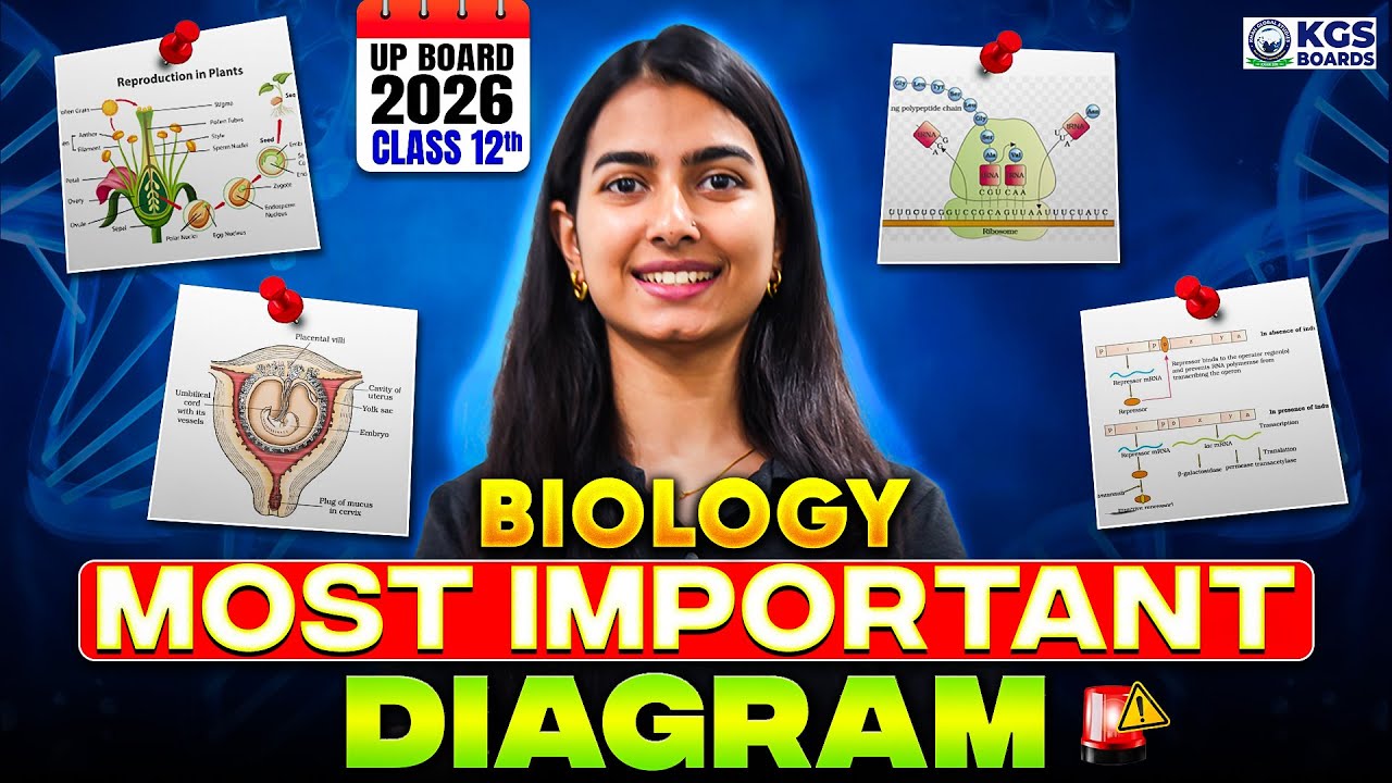 Most Important Diagram in Biology Class 12 | UP Board 2026 | Biology by Shivani Ma'am | KGS UP Board