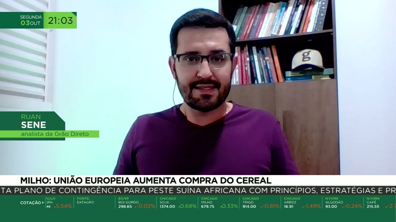 Milho: União Europeia aumenta compra do cereal