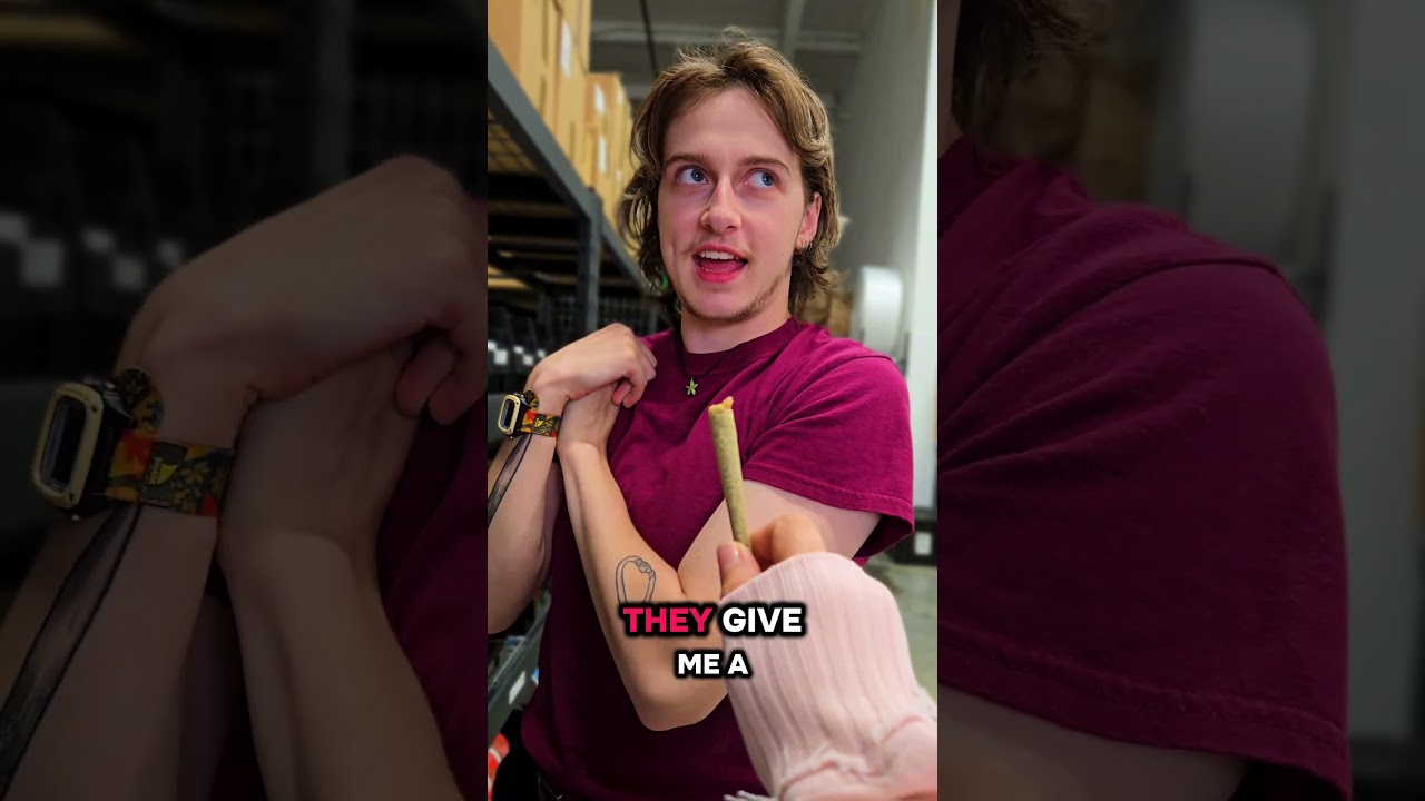 🎤 We asked our team: What’s your favorite product from The Hemp Doctor? 